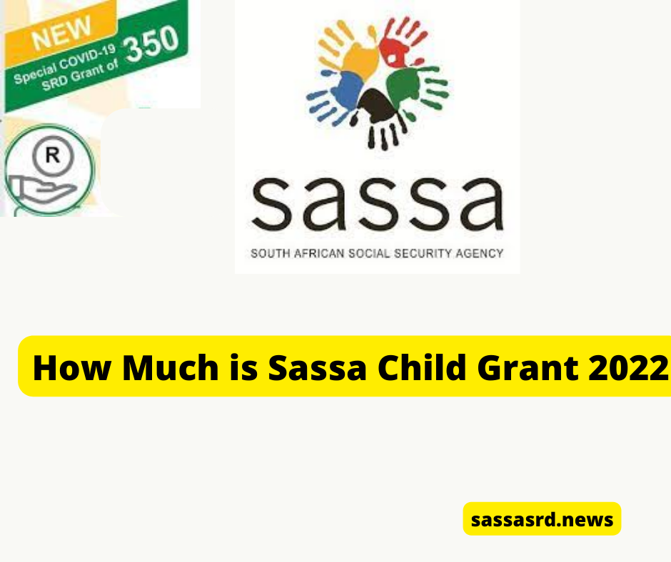 How Much is Sassa Child Grant 2022