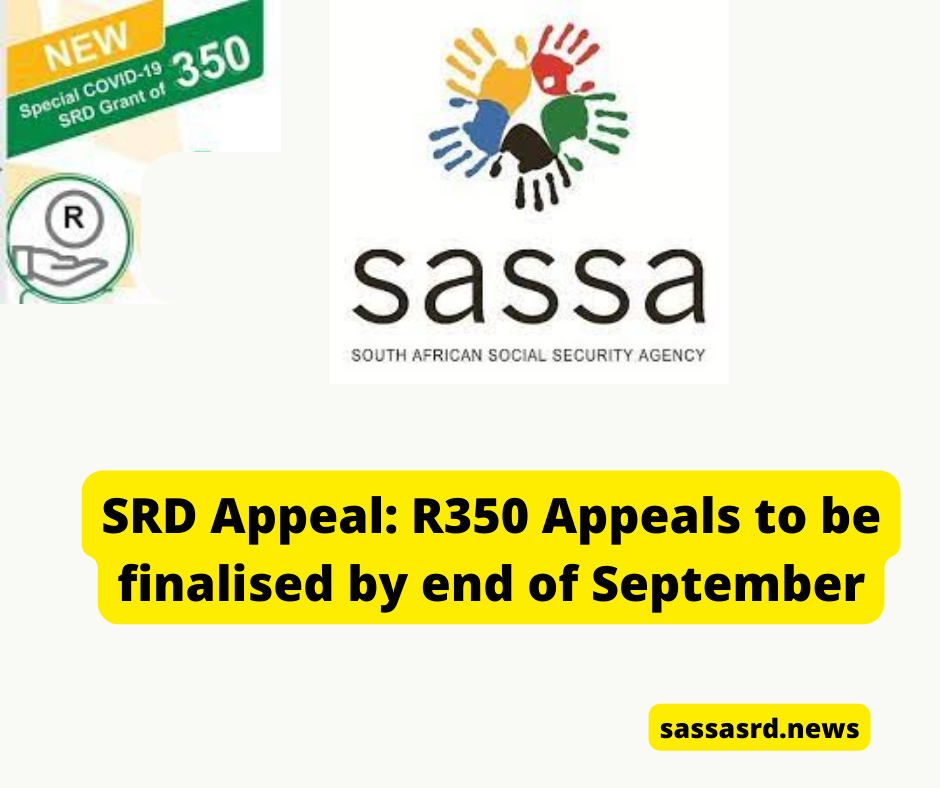 SRD Appeal: R350 Appeals to be finalised by end of September